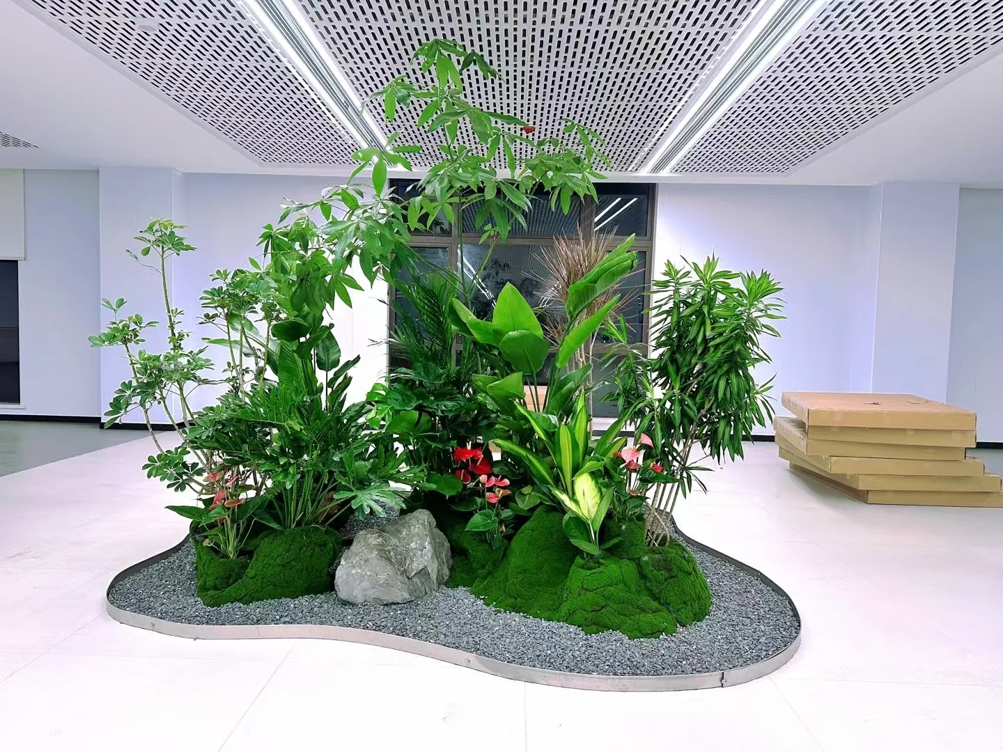 专业植物出租，宁波余姚绿植焕新你的世界